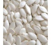 Snow White Pumpkin Seeds