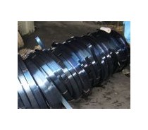 Rolling Shutter Spring Steel