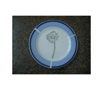 Porcelain Dinner Plate