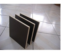 Film Faced Plywood 12*1220*2440mm WBP Glue