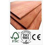 Bintangor Plywood, Bb/Cc Grade, Poplar Core 1220*2440mm