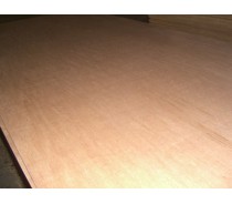 18mm Bintangor Plywood, Sanded Well