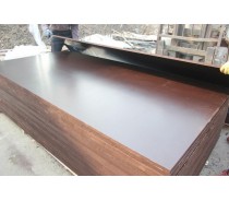 High quality film faced plywood