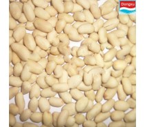 good tasted blanched peanut kernels from china