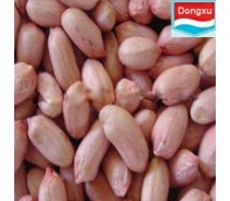 good quality peanut kernels 40/50