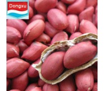 shandong red skin peanut