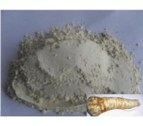 Dehydrated Horseradish Powder