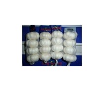 10kg/bag White garlic