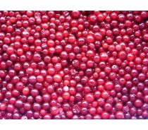 IQF lingonberry or frozen lingonberry