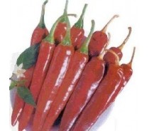 chilli