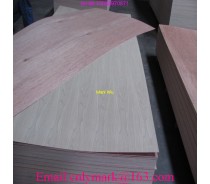 Chinese Ash Plywood