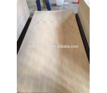 3.6mm Natural ash cheap fancy plywood