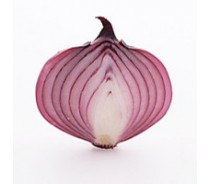 fresh red onion