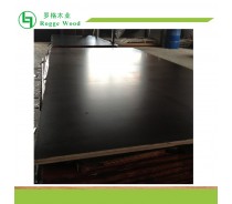 Black Film Faced Plywood