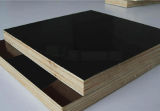 Concrete Shuttering Plywood WBP/Melamine Glue