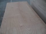 Packing Plywood - 2