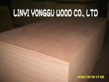 Marine Plywood for Making Boat