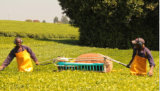 Portable Two-Man Operated Tea Plucking Machine