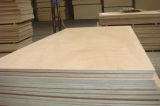 Commercial Plywood