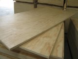 Pine Plywood