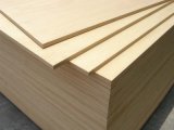 Poplar Plywood