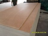 Combi Plywood with Okoume Face&Back