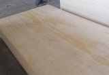 Pine Plywood