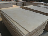 Birch Plywood (ANPONWOOD-005)