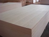 EV Ash Plywood, Plywood Factory, 1.2mm, 1.4mm, 1.6mm Ash Plywood for Egypt Market