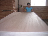 Ordinary Plywood