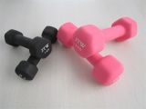 Vinyl Dumbbell