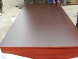 Construction Plywood (JX-1)