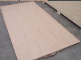 Plywood for Africa Market