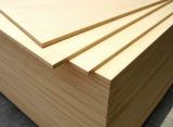 Birch Plywood