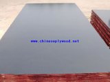 Black Film Faced Plywood (HT-FFP-04)