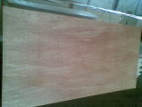 Packing Plywood to Indonisia Market 2.0mm 2.1mm 2.2mm 2.3mm 2.4mm 2.5mm 2.7mm 3mm 3.2mm 3.6mm 4mm