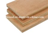 Hardwood Plywood for Furniture and Decoration