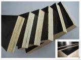 Good Quality Construction Plywood in Very Low Price