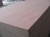 Commercial Plywood