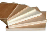 Okoume Plywood