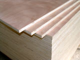 Provide Kinds of Plywood