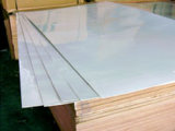 Polyster Plywood