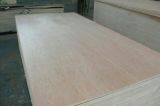 Commercial Plywood