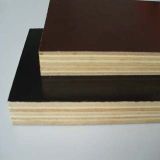 Dynea Brown Film Faced Plywood with Oil Sealed Edge