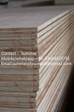 28mm Bamboo Core Container Plywood for Floor New Made