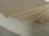 Birch Plywood