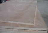 Commercial Plywood