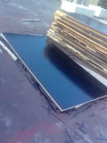 Marine Plywood/Shuttering Formwork