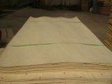 1.3mm Poplar Veneer