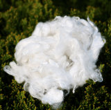 Lyocell Fiber for Non-Woven Fabric